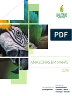 Amazonas Em Mapas_4ª Edição_ano 2020