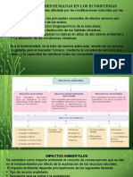 3.2 - Tema Sem 2 Proy 3 Actividades Humanas e Impactos Ambientales