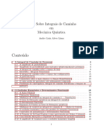 Notas Sobre Integrais de Caminho Em Meca