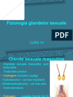 GL Sexuale