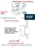 Régulation du métabolisme protéique P2