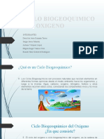 Ciclo Biogeoquimico Del Oxigeno