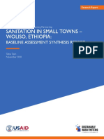 Sanitation in Small Towns - Woliso, Ethiopia: Baseline Assessment Synthesis Report