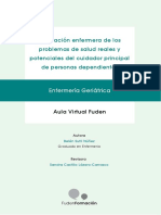 Valoración Enfermera en Los Problemas de Salud Reales y Potenciales Del Cuidador Principal de Personas Dependientes - 5704442