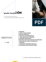 Osificación