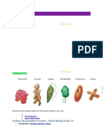 Materi Protista