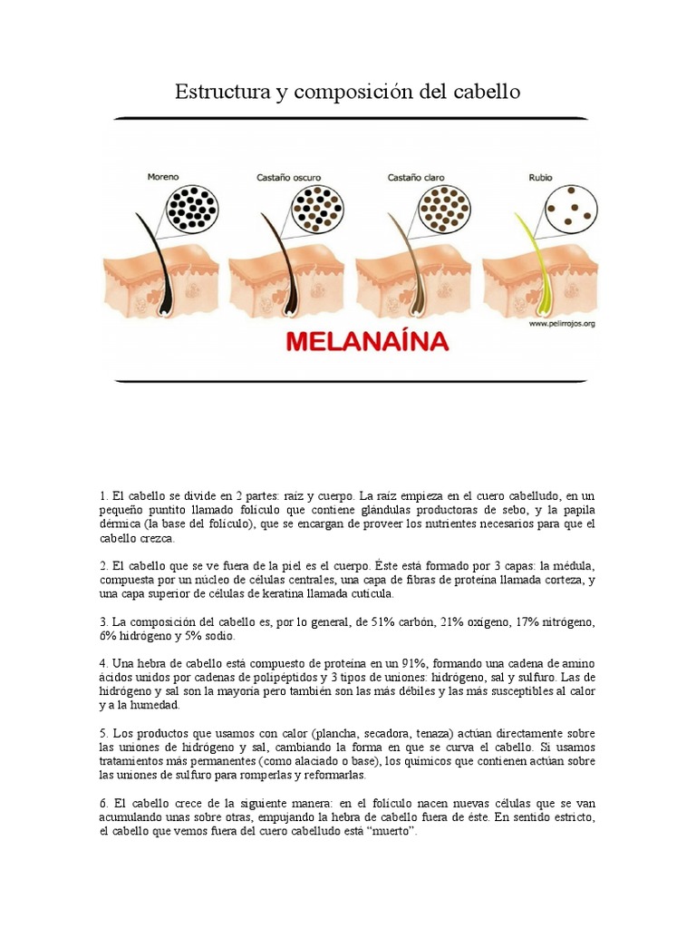 Estructura y composición del cabello | PDF | Pelo | Sistema tegumentario