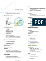 Cell division and meiosis overview