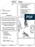 Semana 41 Plan Lector 2021-1