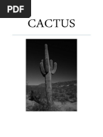 Download Cactus by Kimia Sobhi SN55650795 doc pdf