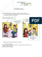 Prueba Diagnostica