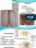 NRT 7 SNP