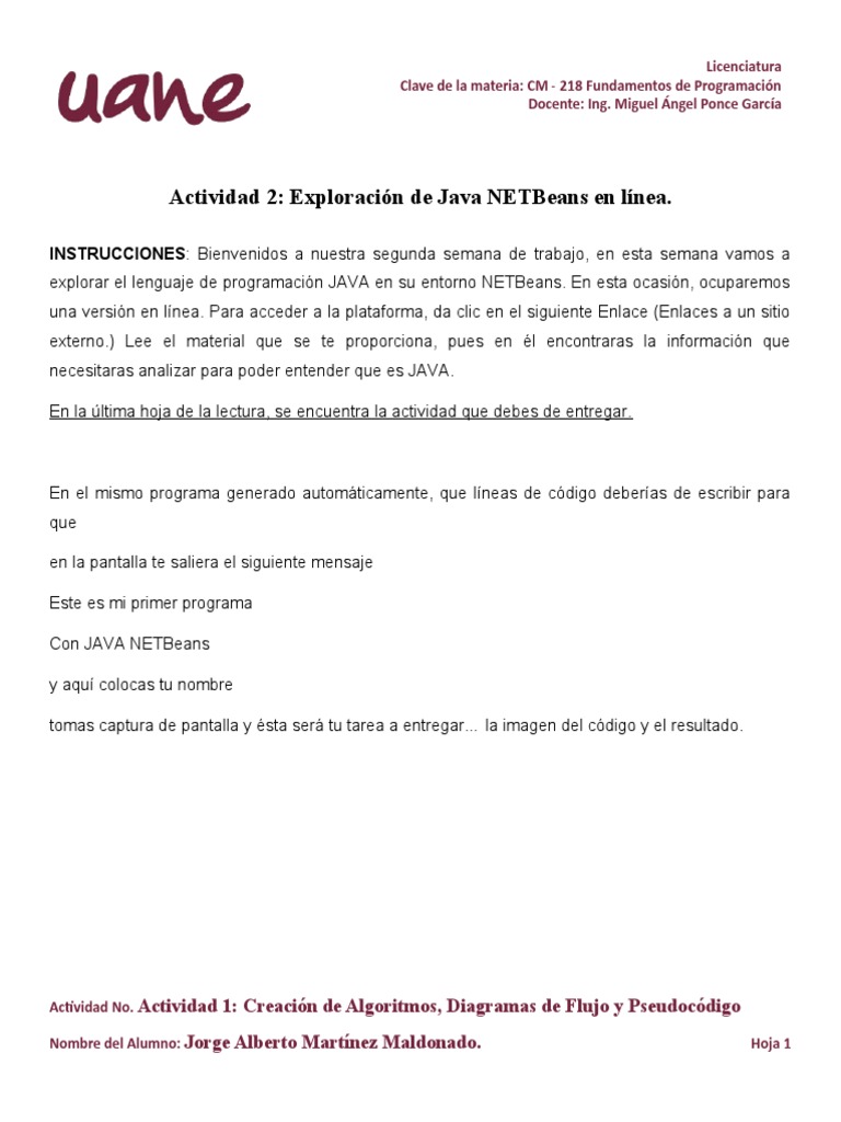 Actividad 2. - Exploración de Java NETBeans en Línea. | PDF | Informática