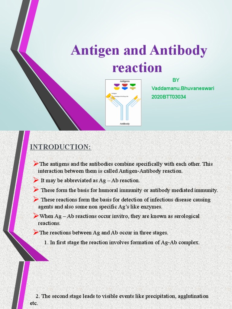 Antigen and Antibody Reaction PDF Antibody Elisa