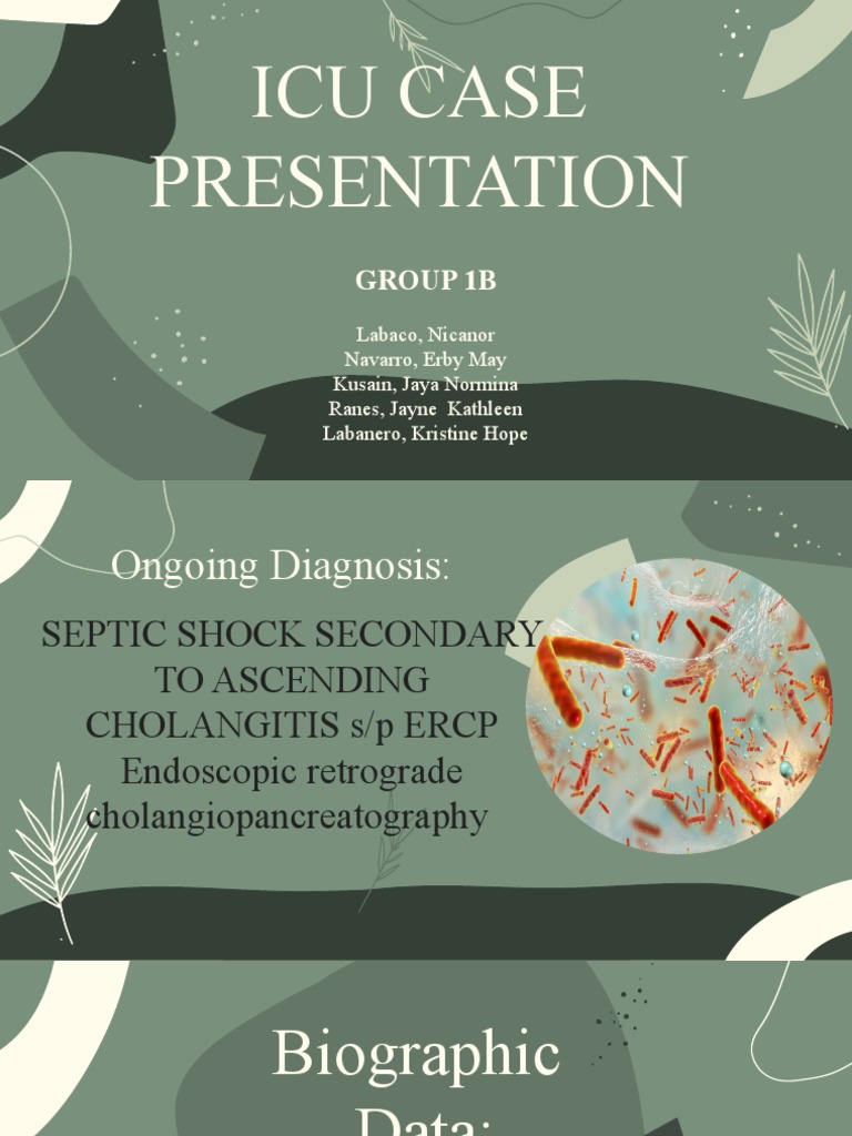 Icu Case Presentation Group 1b Download Free Pdf Organ Anatomy