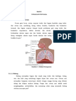 Referat Anestesi Fisiologi Pernafasan