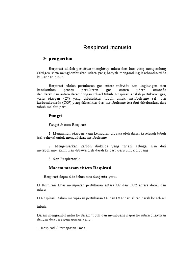 Respirasi Manusia | PDF