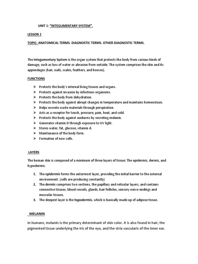 Integ. System Lesson 1 | Download Free PDF | Integumentary System | Skin