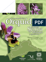 Orquídeas Senda Málaga Arc - 306543