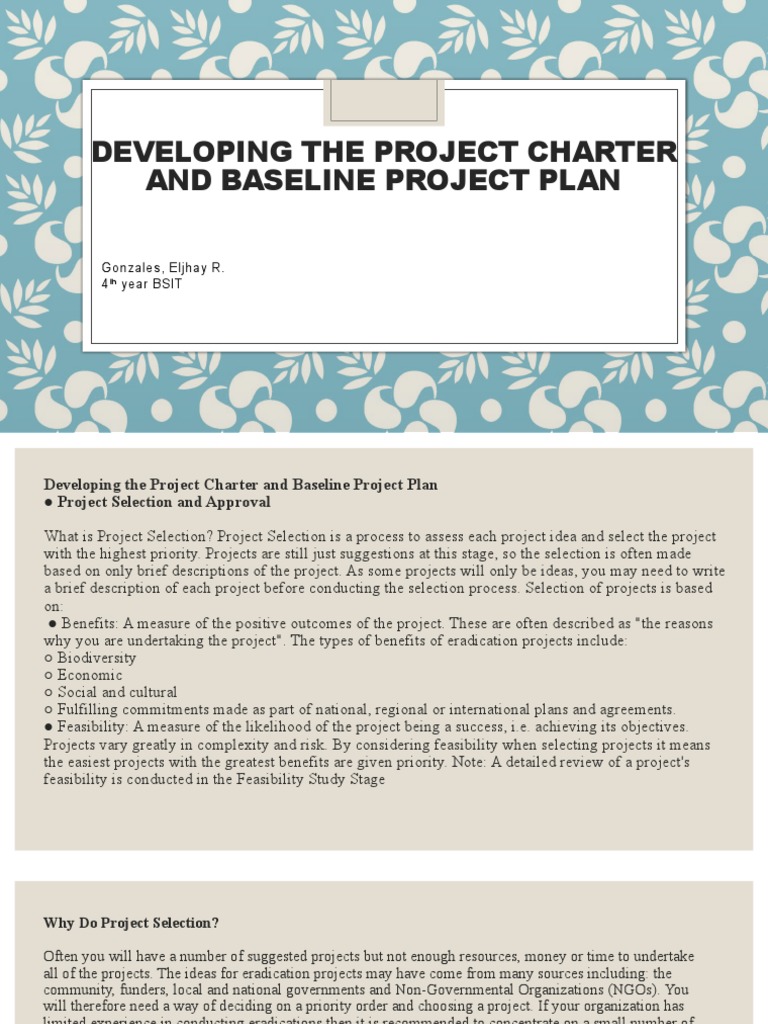 Project Charter and Baseline Plan Guide | PDF | Project Management | Risk