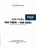 Giai Phau Chi Tren & Chi Duoi - Pham Dang Dieu
