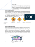 Cuál es la tecnología utilizada en fusión