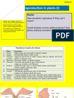 Sexual Reproduction in Plants