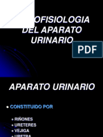 Histofisiologia Renal