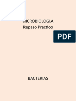 Laminas Micro Lab Bacterias a7b4b7763119dd517e09647a25a1abcd