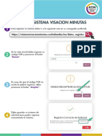 Visacion - Manual 2