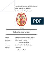 Evaluacion Visual Del Suelo