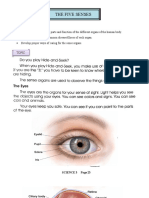 Lesson 2 Science 3 Five Senses