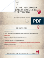 1 Metabolismo Anaerobio de Los Carbohidratos en El Eritrocito