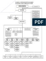 Organigrama Actualizado