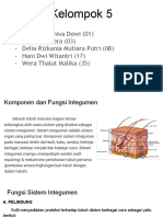 SKIN COMPONENTS AND FUNCTIONS