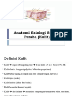 Anatomi Sistem Perabaan (kulit)