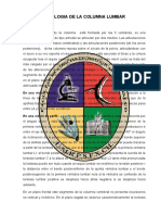 columna lumbar_anatomia