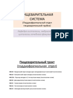 preparati_poddiafr_otdel_pishevar_sistemi