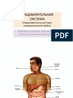 Prez Pishevar Sistema Naddiafr