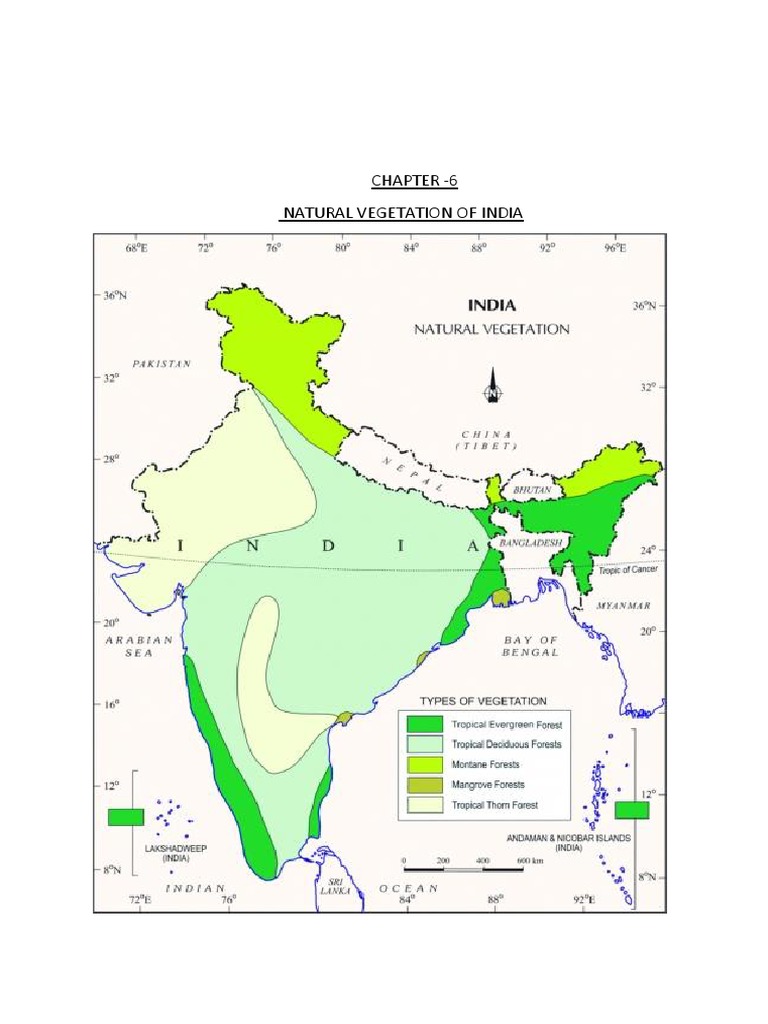 Chapter - 6 Natural Vegetation of India | PDF | Trees | Forests