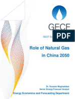 Gecf Expertcommentary Role Naturalgaschina2050