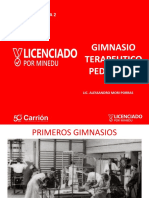 Gimnasio Terapeutico Pedriatico