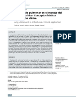 Eco Pulmonar Paciente Crítico