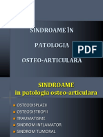 Curs Osteo-Articular 2