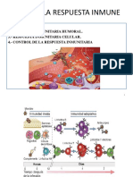 PDF-t5 Respuesta Inmunitaria