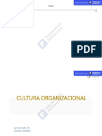 Cultura Organizacional