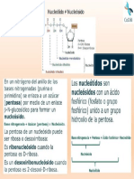 Diapositiva6