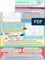 Infografia - Metabolismo de Bilirrubina