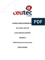 Ensayo Curso de Coursera