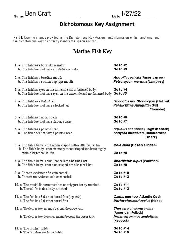 dichotomous-key-assignment-pdf-fish-cod